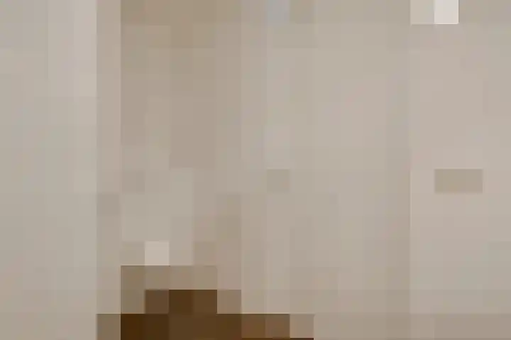 Op de Vlis 2 Horst thumbnail 27