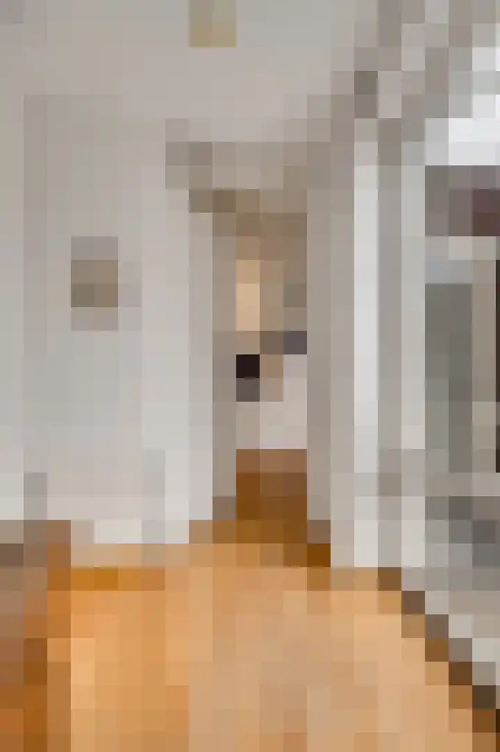 Op de Vlis 2 Horst thumbnail 28