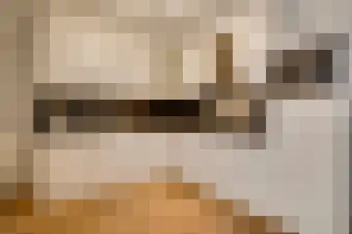 Op de Vlis 2 Horst foto 3