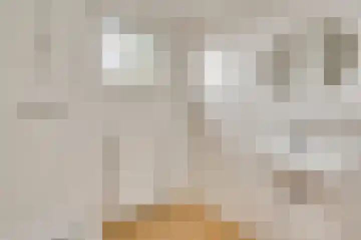 Op de Vlis 2 Horst thumbnail 36