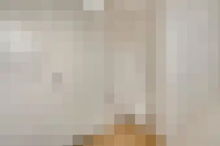 Op de Vlis 2 Horst thumbnail 37