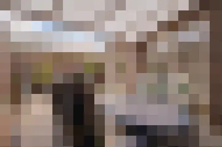Op de Vlis 2 Horst thumbnail 40