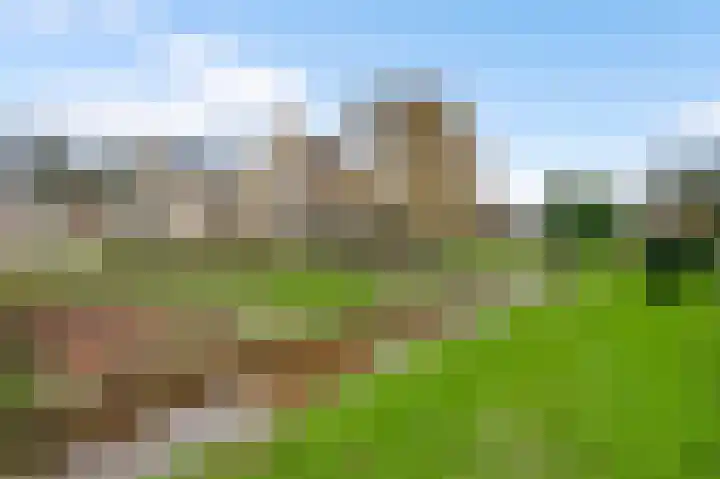 Op de Vlis 2 Horst thumbnail 44