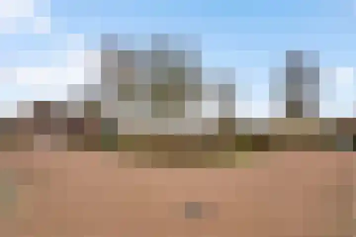 Op de Vlis 2 Horst thumbnail 9