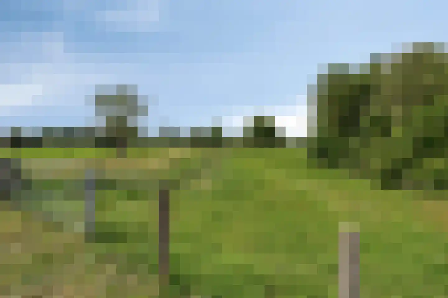 Op de Warreij 24 Maastricht thumbnail 38