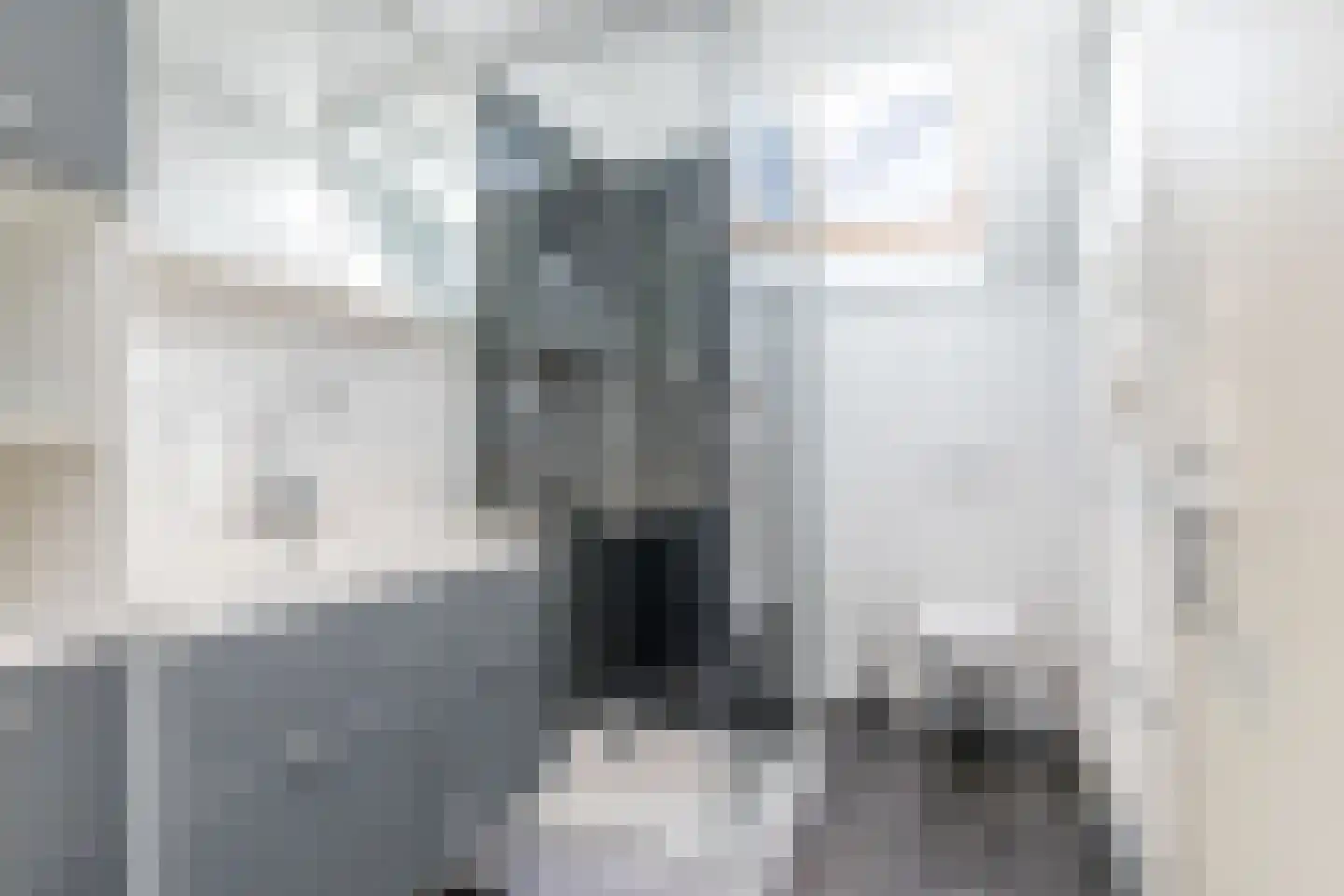 Op de Was 5 Maastricht thumbnail 22