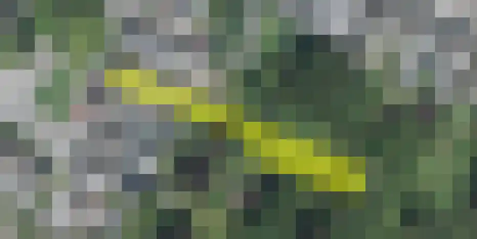 Op de Was 5 Maastricht thumbnail 33