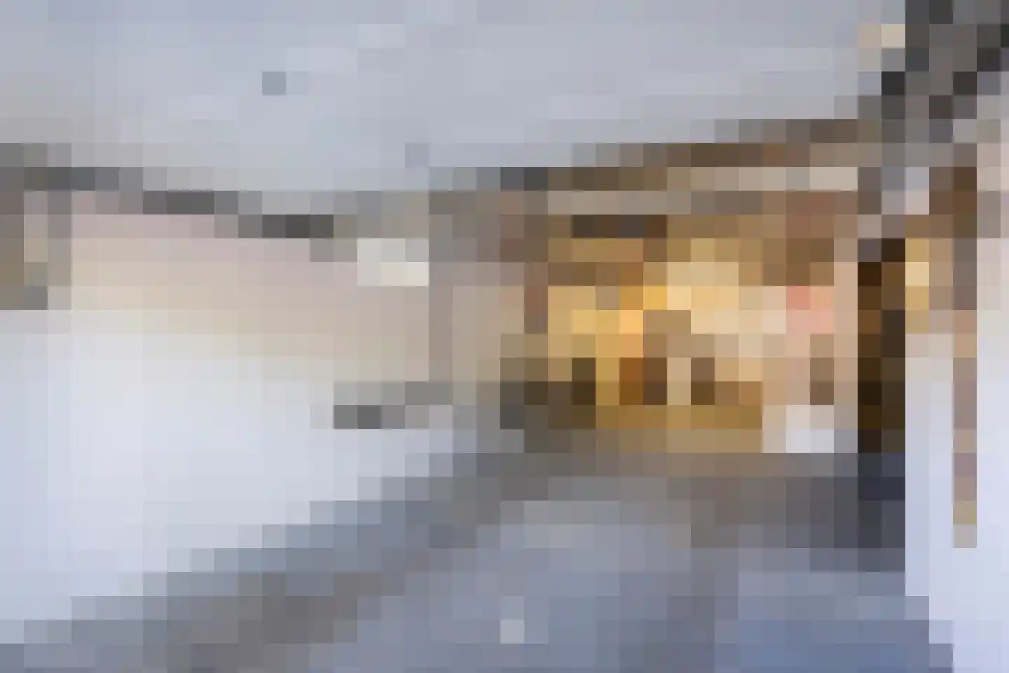 Op de Weerdt 21 Elsloo thumbnail 14