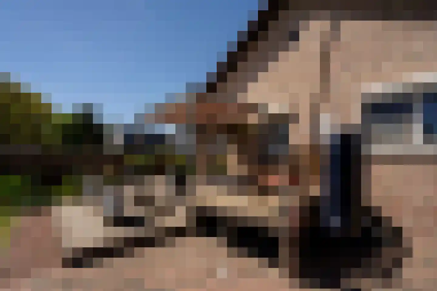 Op de Weerdt 21 Elsloo thumbnail 15