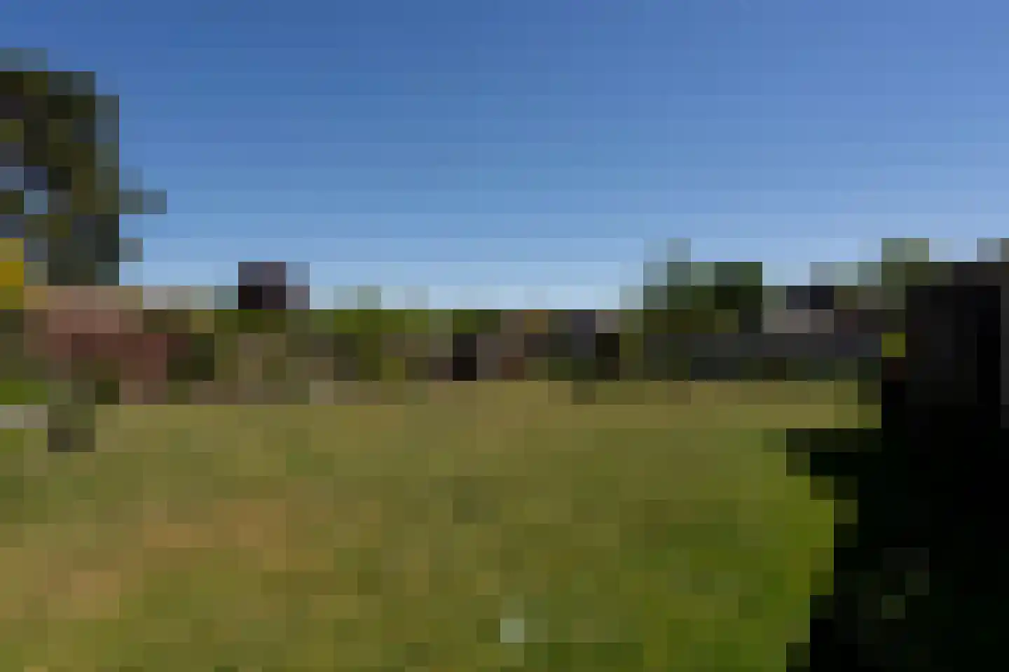 Op de Weerdt 21 Elsloo thumbnail 17
