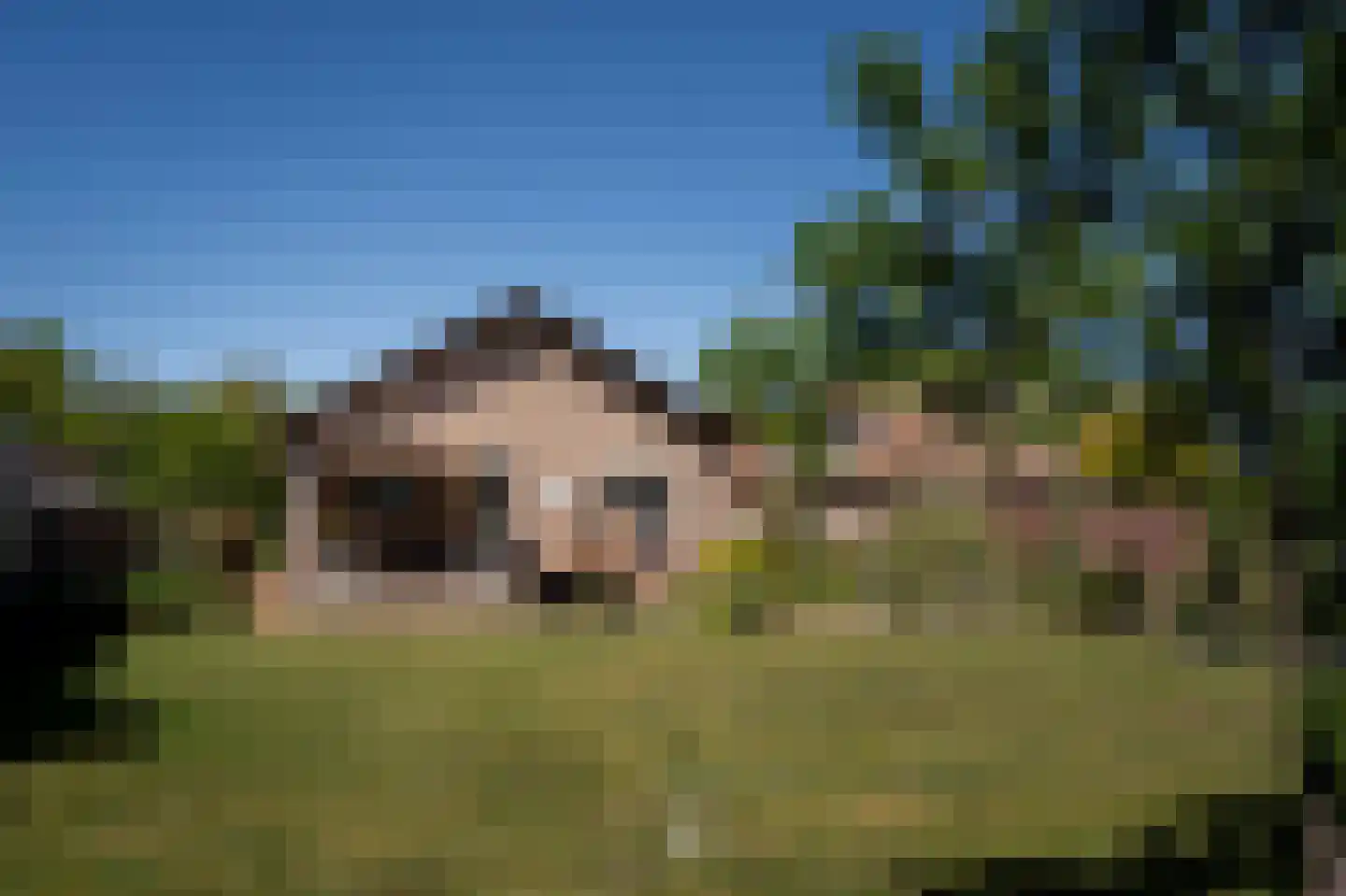 Op de Weerdt 21 Elsloo thumbnail 18