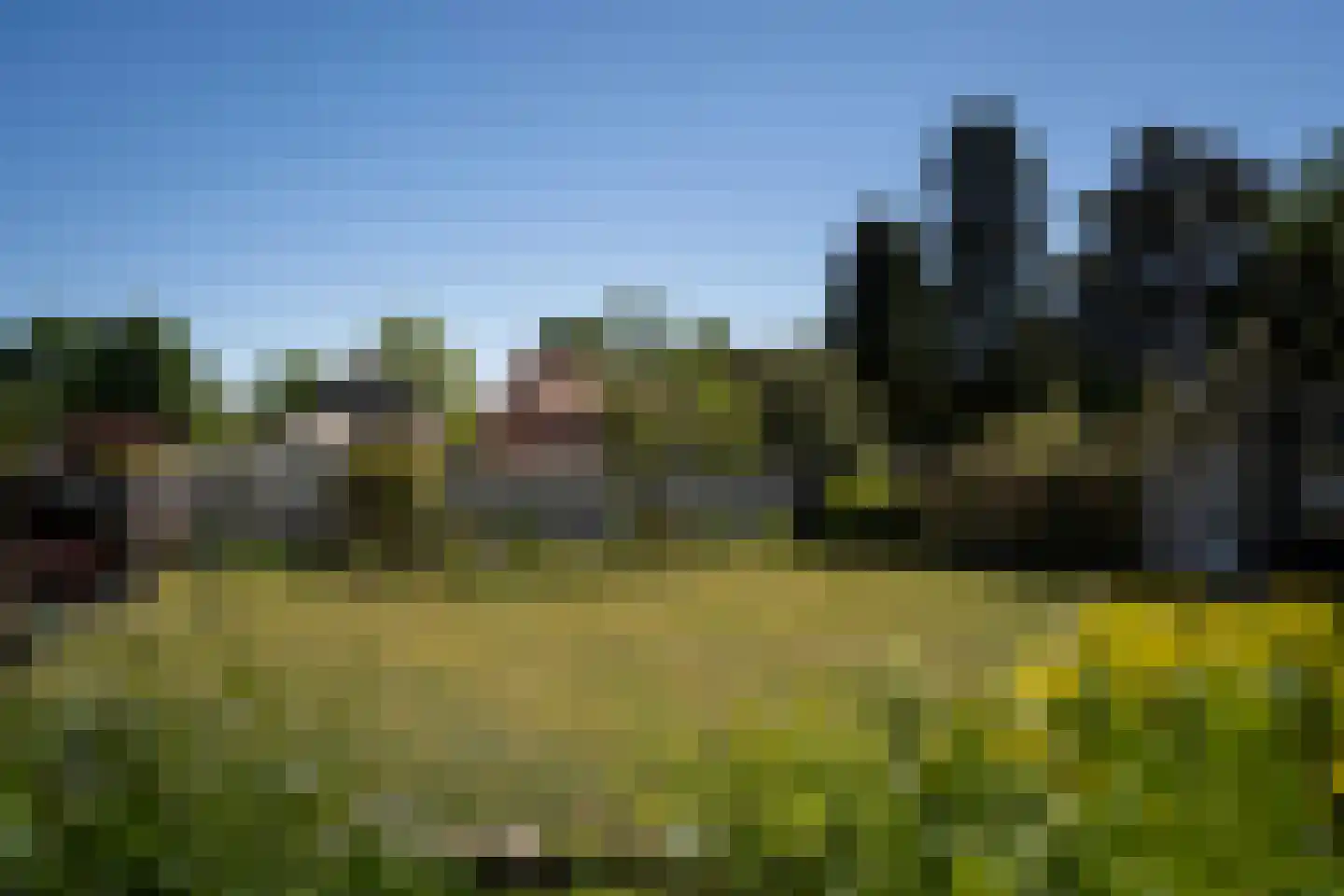 Op de Weerdt 21 Elsloo thumbnail 21