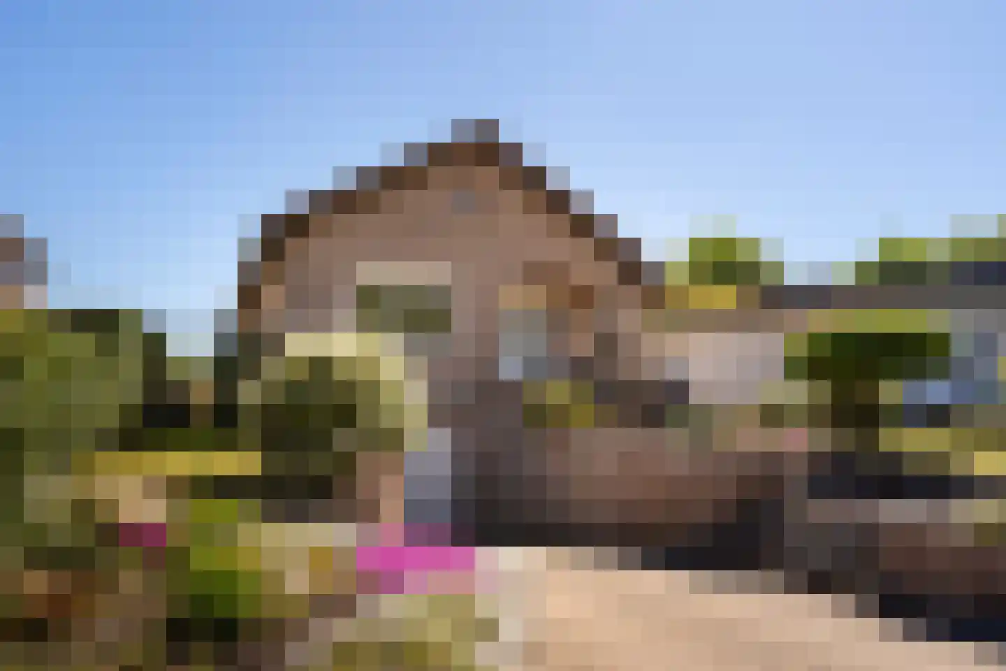 Op de Weerdt 21 Elsloo thumbnail 22