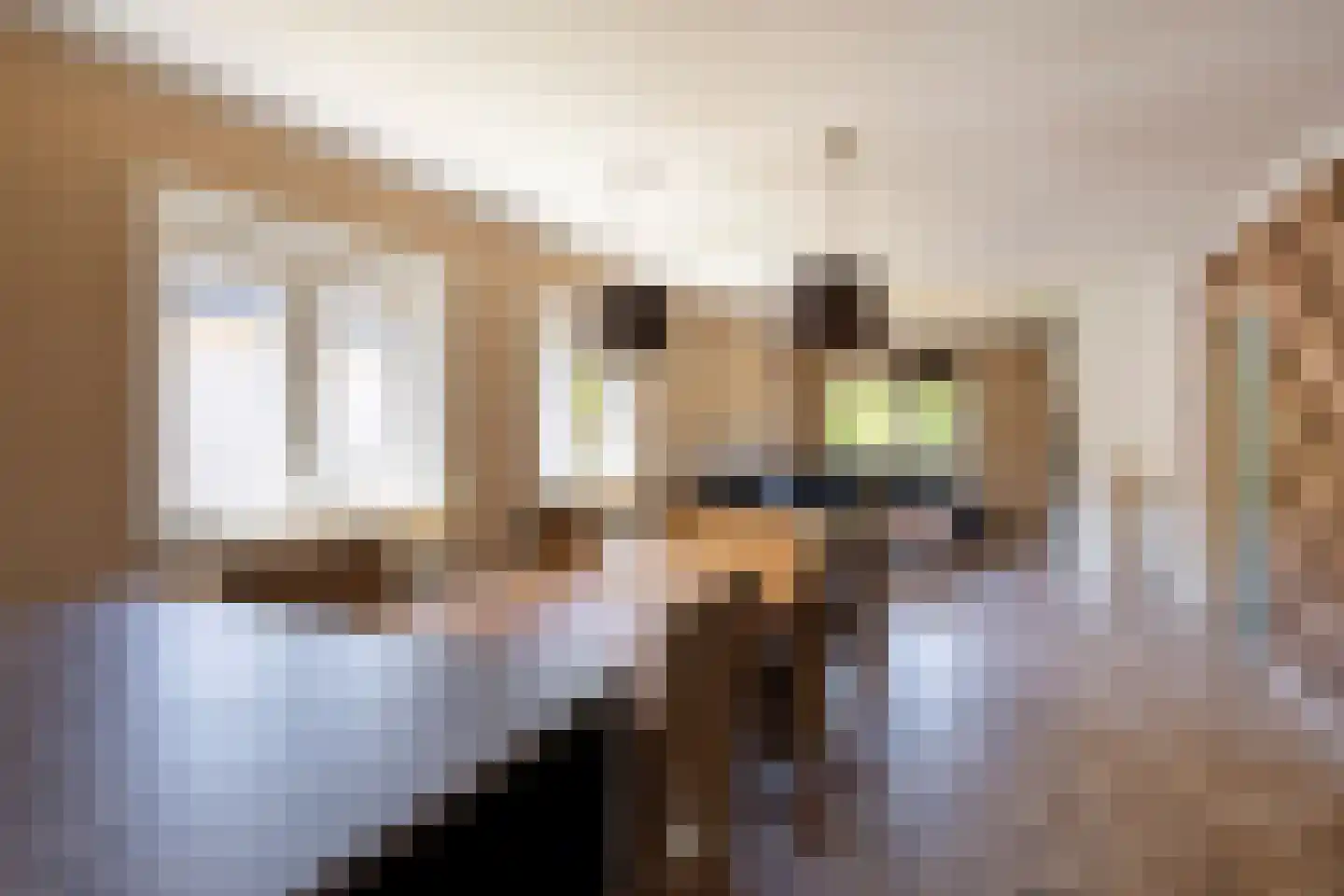 Op de Weerdt 21 Elsloo thumbnail 4