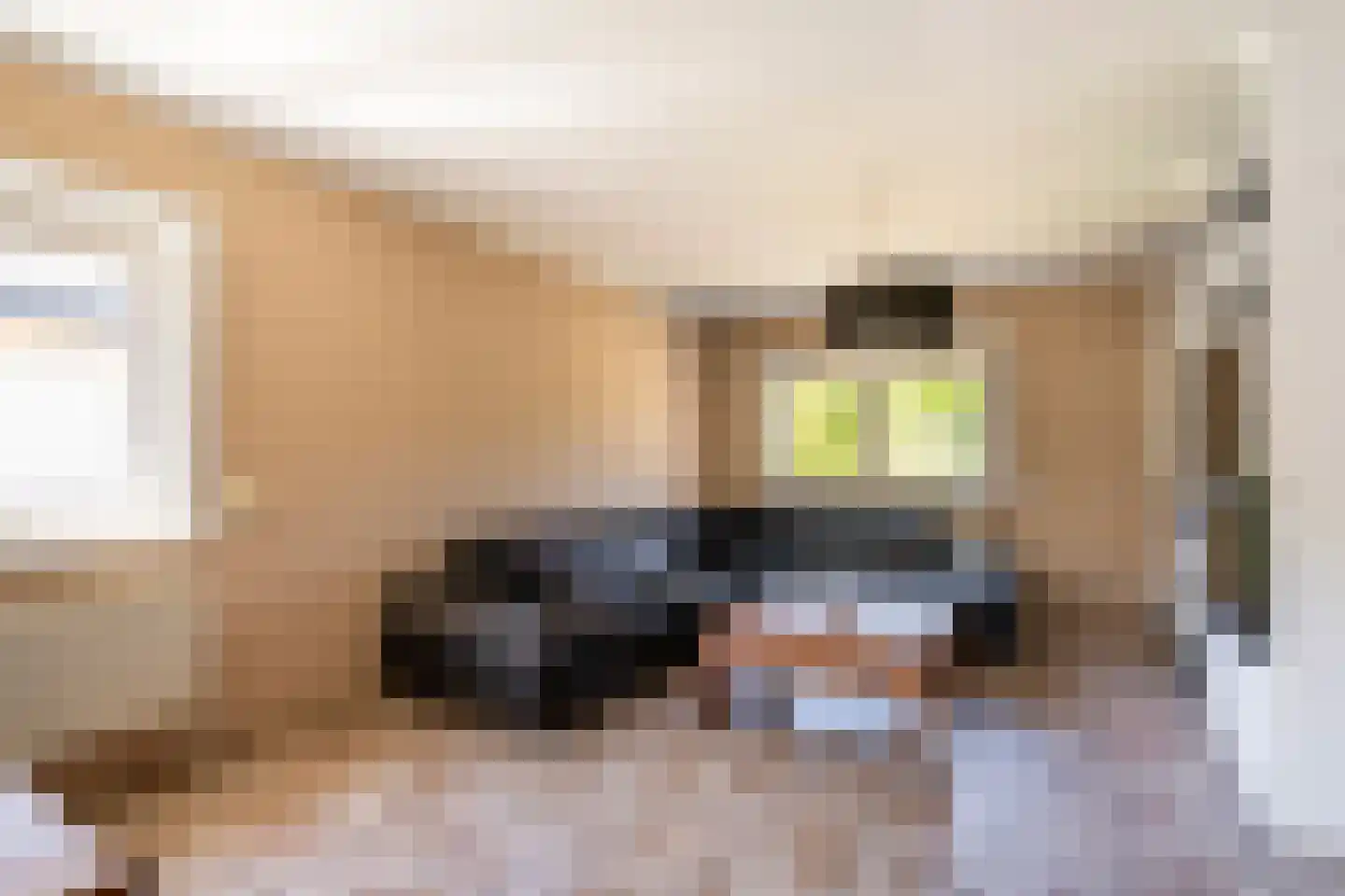 Op de Weerdt 21 Elsloo thumbnail 6