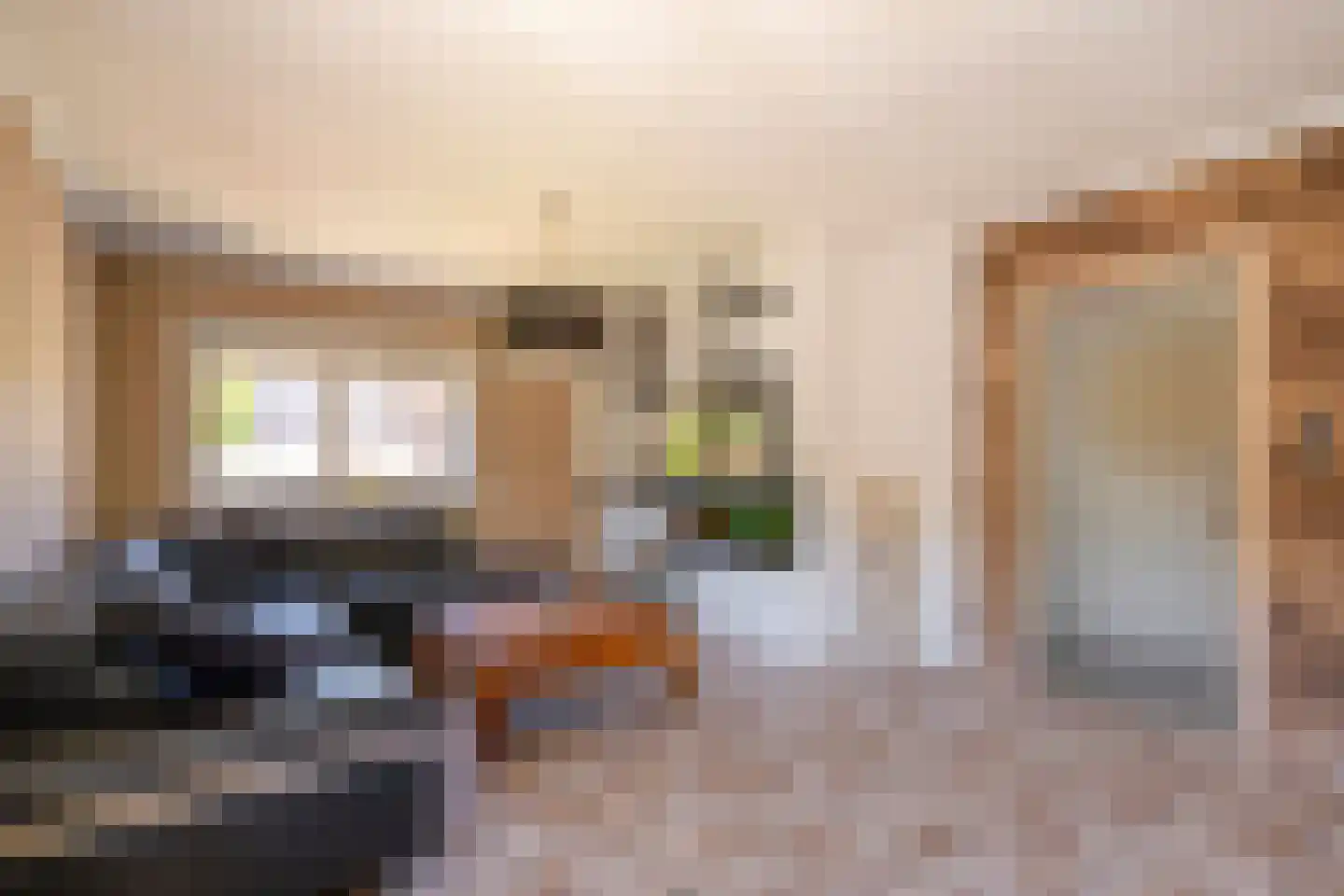 Op de Weerdt 21 Elsloo thumbnail 7