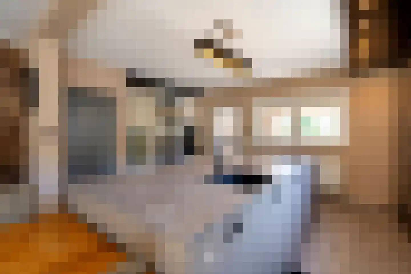 Op de Weerdt 21 Elsloo thumbnail 8