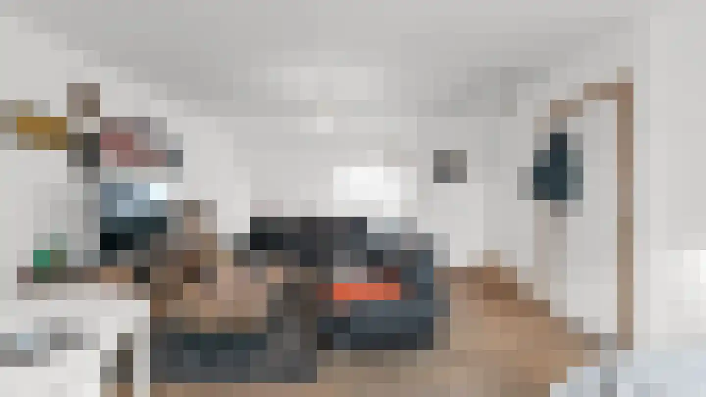 Op de Weerdt 22 A Elsloo thumbnail 15