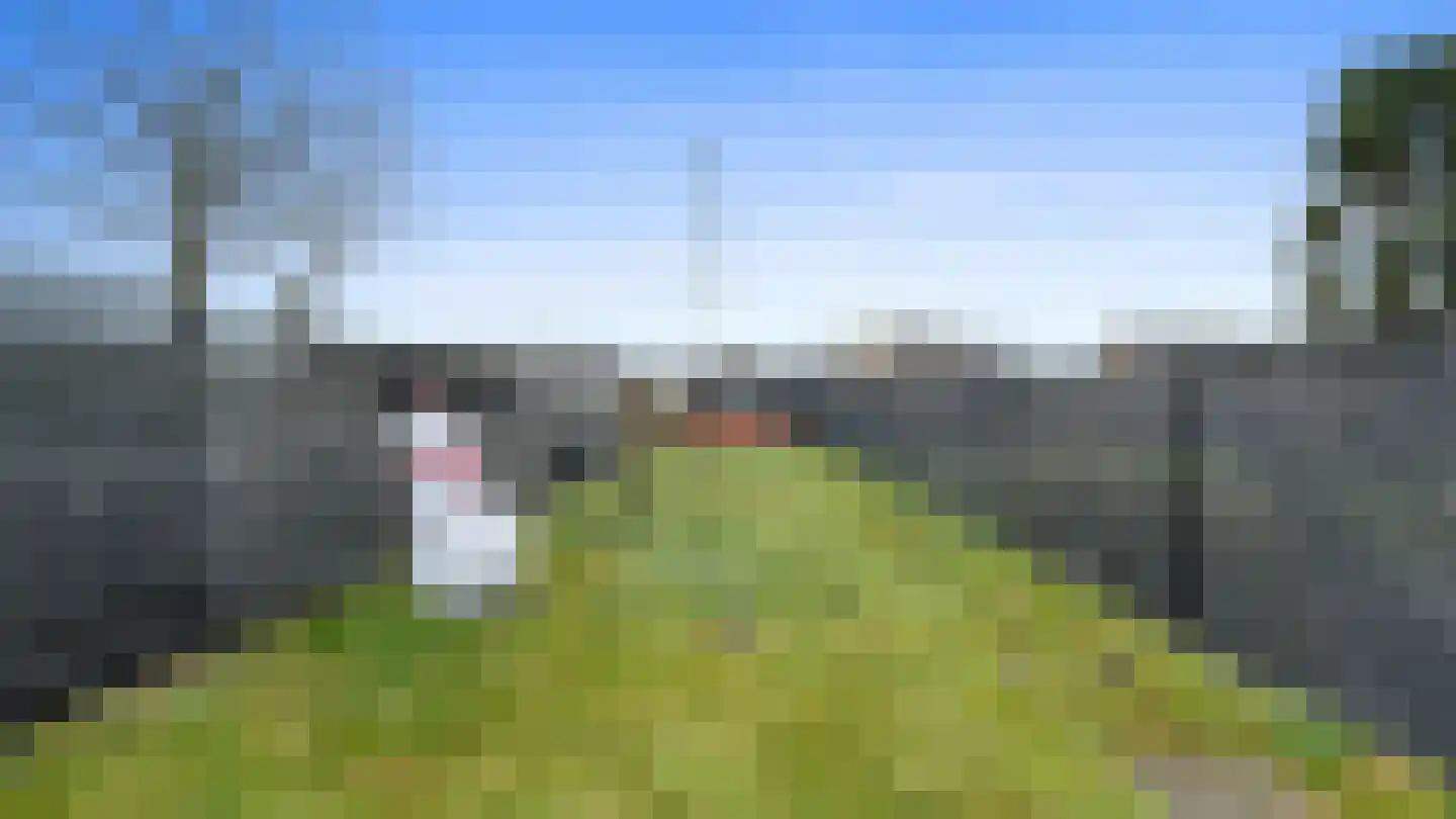 Op de Weerdt 22 A Elsloo thumbnail 21