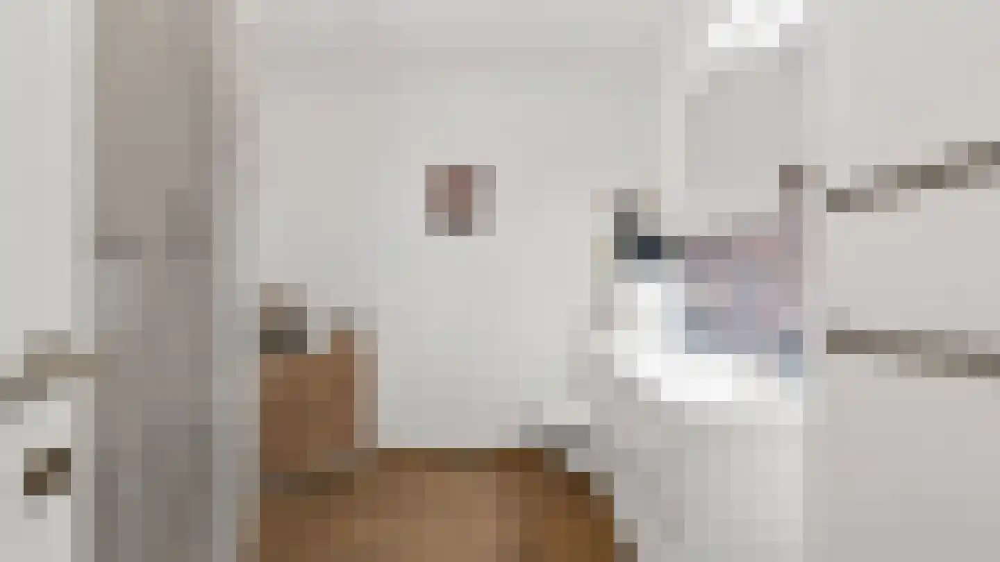 Op de Weerdt 22 A Elsloo thumbnail 9