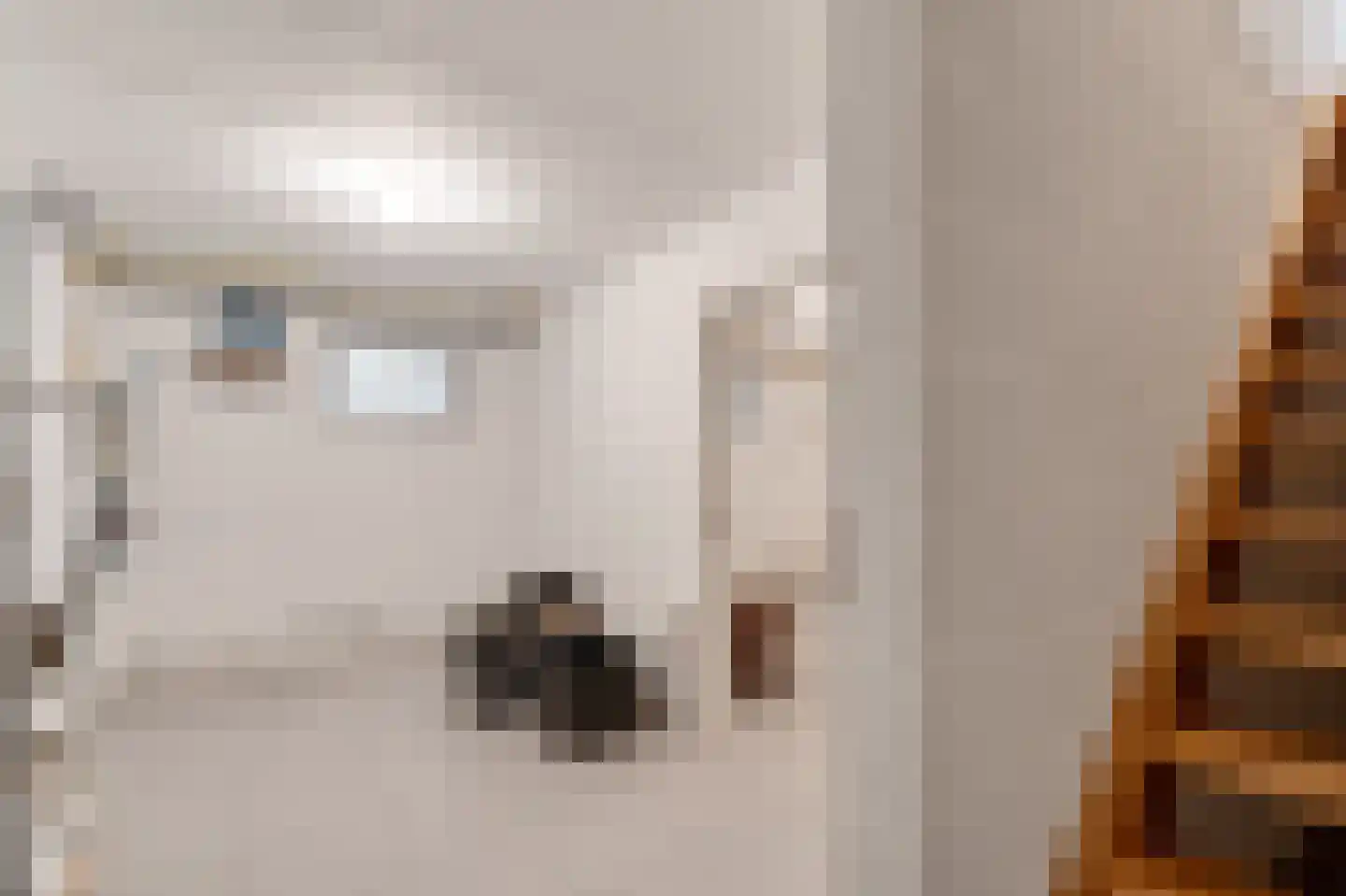 Op de Weerdt 22 Elsloo thumbnail 24