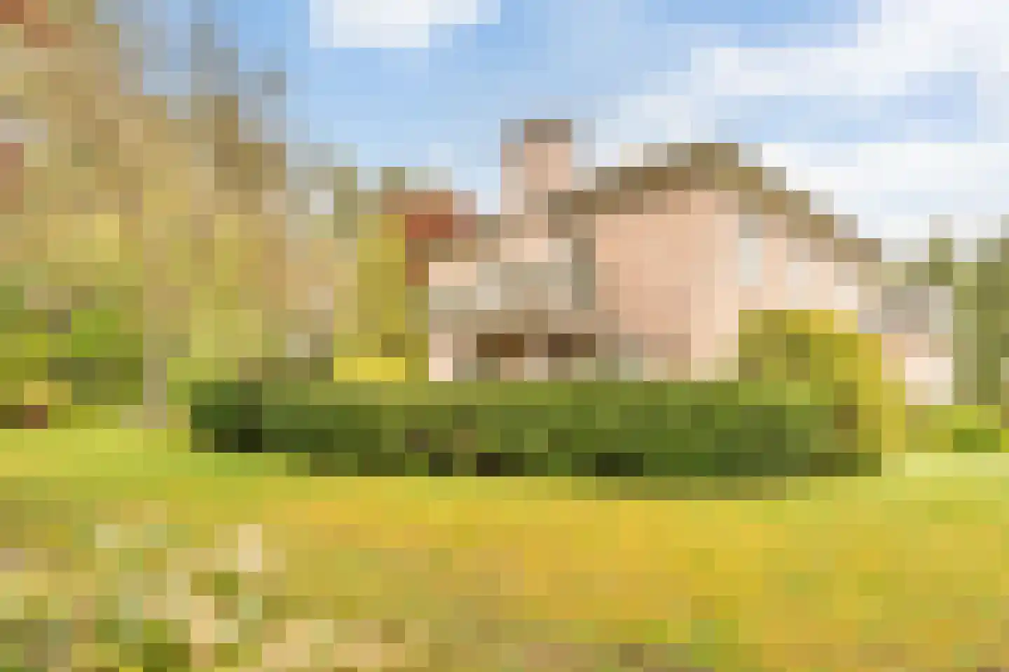 Op de Weerdt 22 Elsloo thumbnail 26