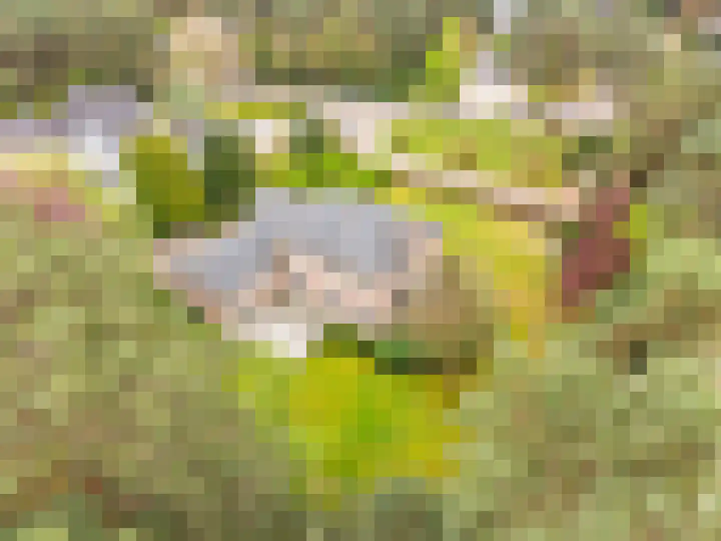 Op de Weerdt 22 Elsloo thumbnail 4