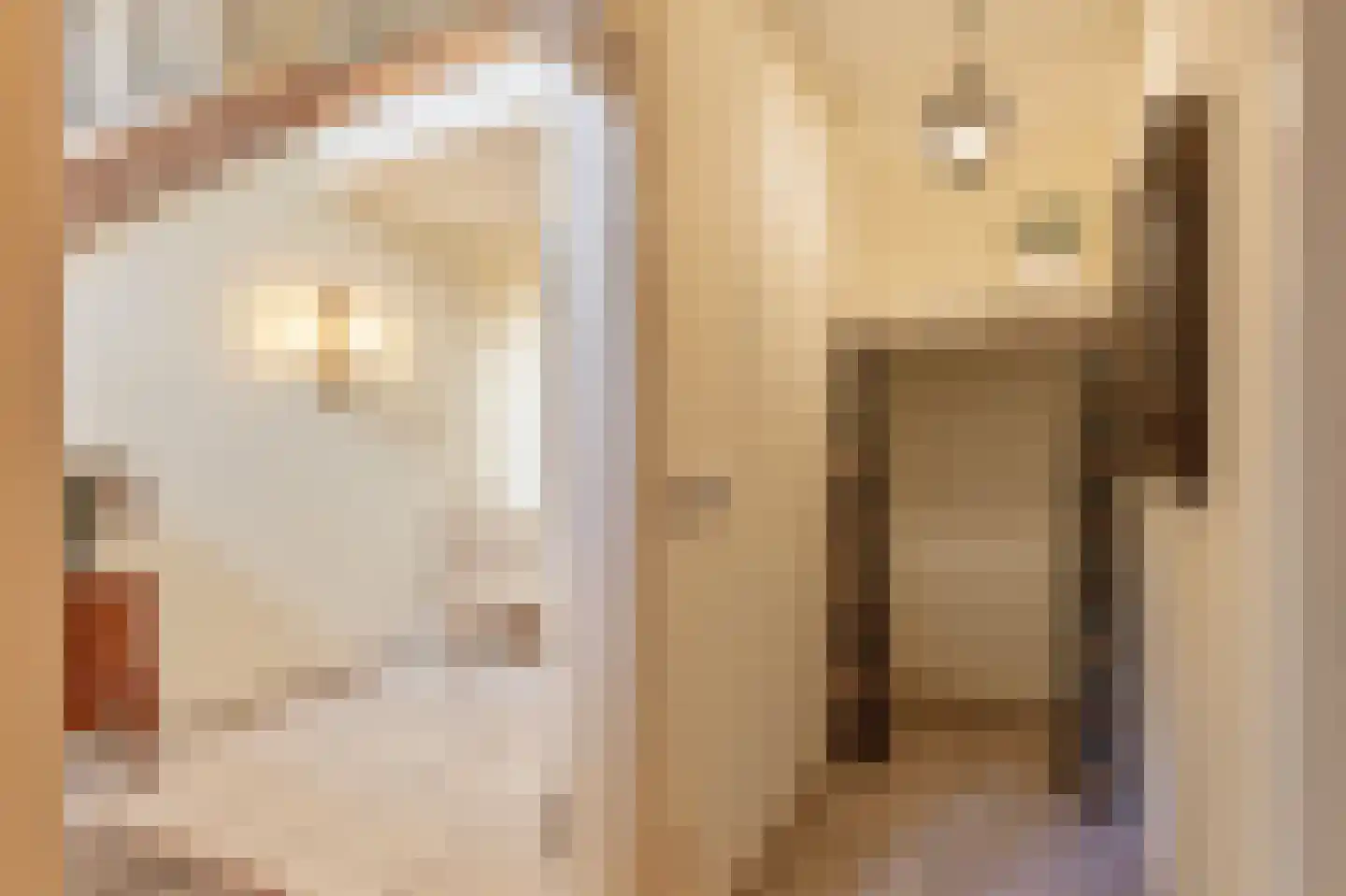 Op de Weerdt 22 Elsloo thumbnail 7