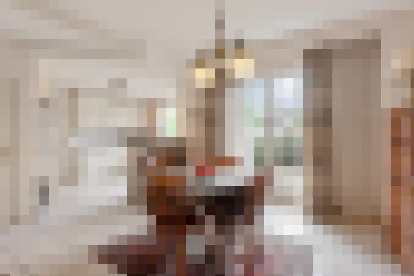 Op de Weerdt 22 Elsloo thumbnail 8