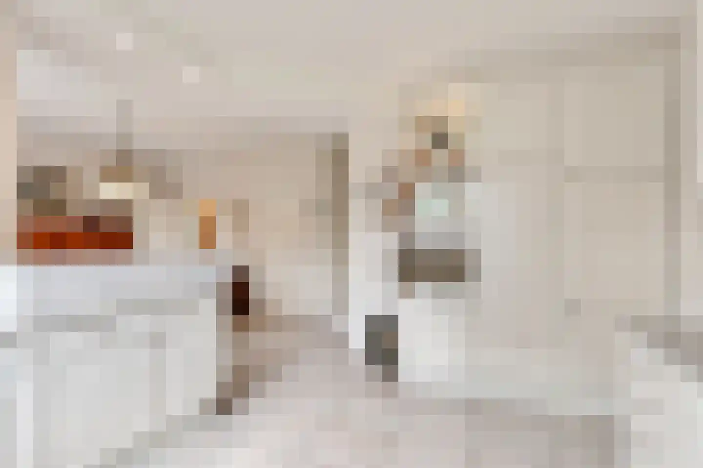 Op de Weerdt 22 Elsloo thumbnail 9