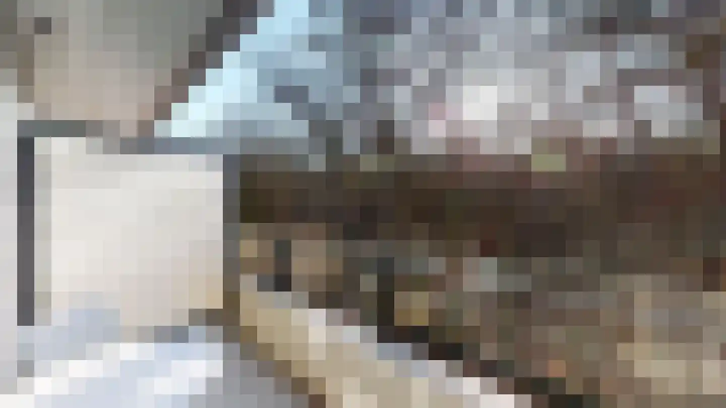 Op de Weerdt 3 Elsloo thumbnail 10