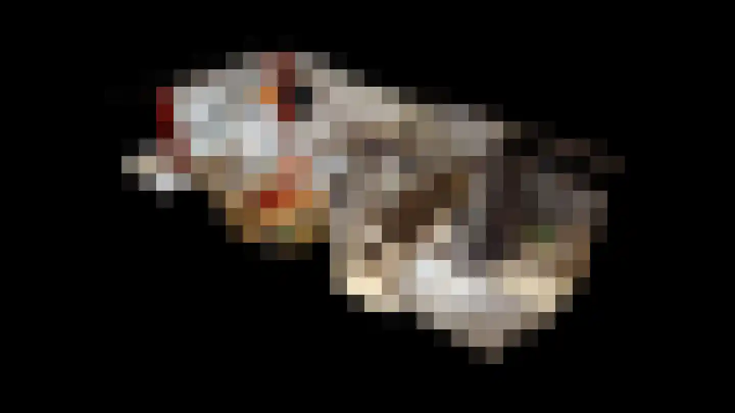 Op de Weerdt 3 Elsloo thumbnail 11