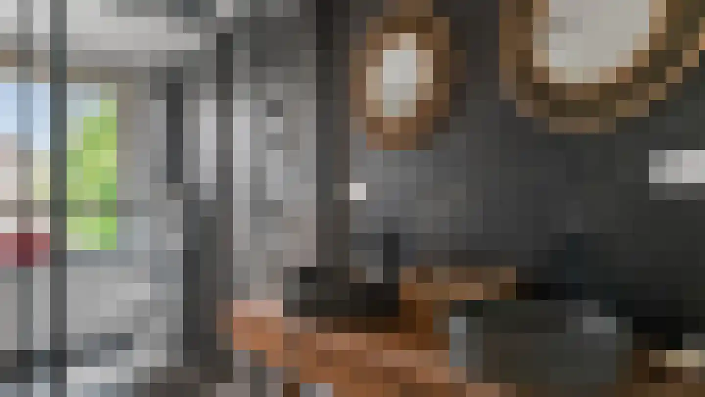 Op de Weerdt 3 Elsloo thumbnail 23