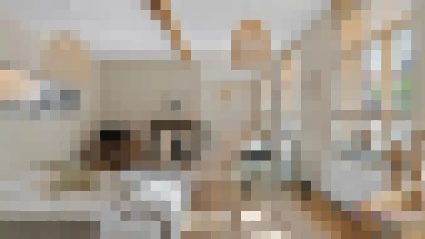 Op de Weerdt 3 Elsloo foto 3