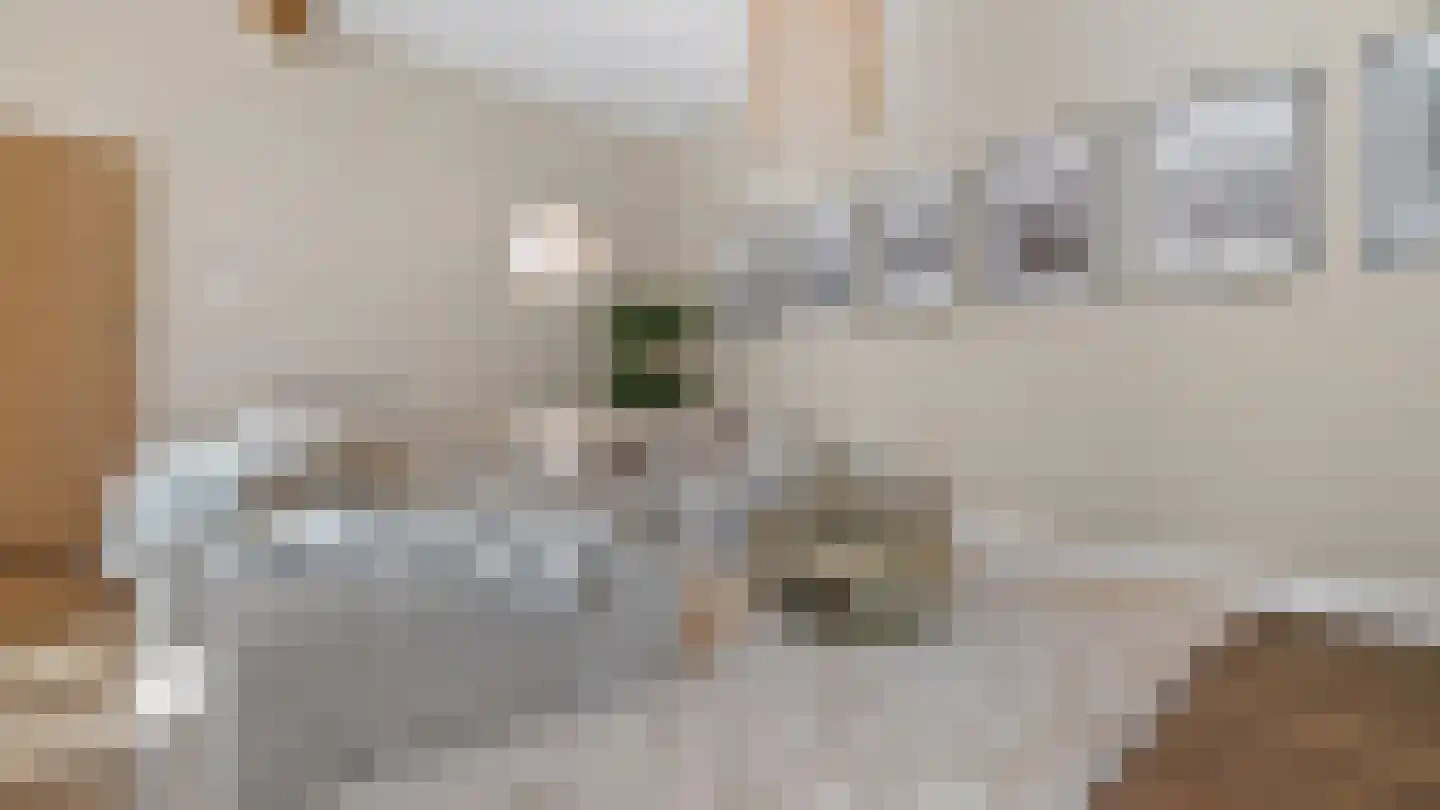 Op de Weerdt 3 Elsloo thumbnail 5