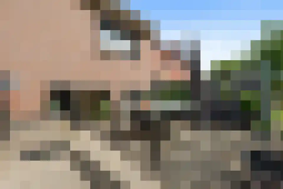 Op de Weerdt 3530 Houthalen-Helchteren Elsloo thumbnail 13