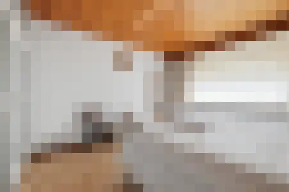 Op de Weerdt 3530 Houthalen-Helchteren Elsloo thumbnail 30