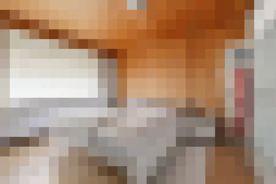 Op de Weerdt 3530 Houthalen-Helchteren Elsloo thumbnail 31