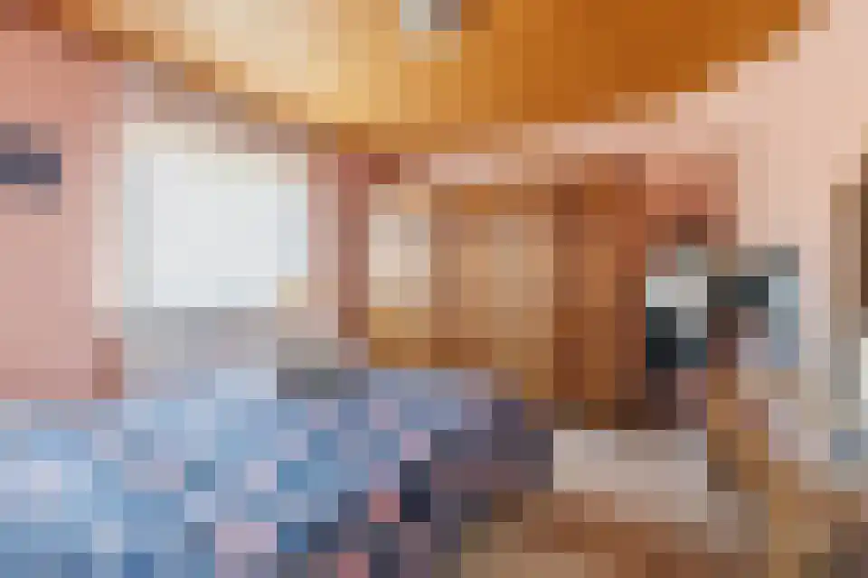 Op de Weerdt 3530 Houthalen-Helchteren Elsloo thumbnail 32