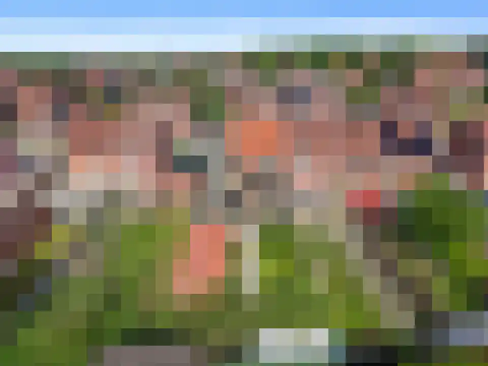 Op de Weerdt 3530 Houthalen-Helchteren Elsloo thumbnail 4
