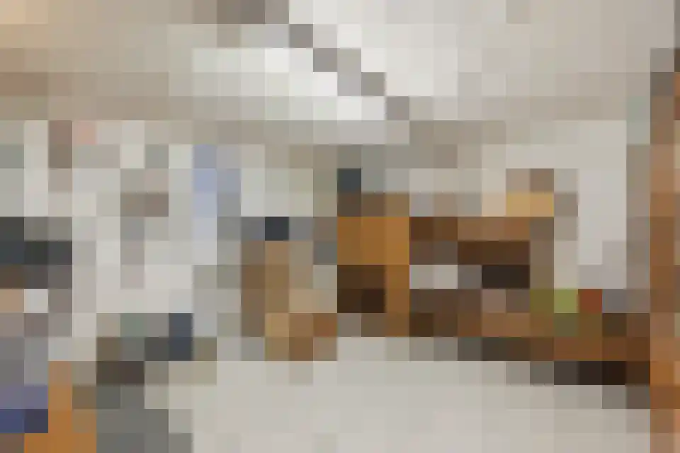 Op de Weerdt 3530 Houthalen-Helchteren Elsloo thumbnail 42