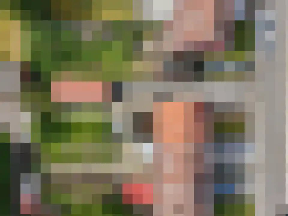 Op de Weerdt 3530 Houthalen-Helchteren Elsloo thumbnail 5