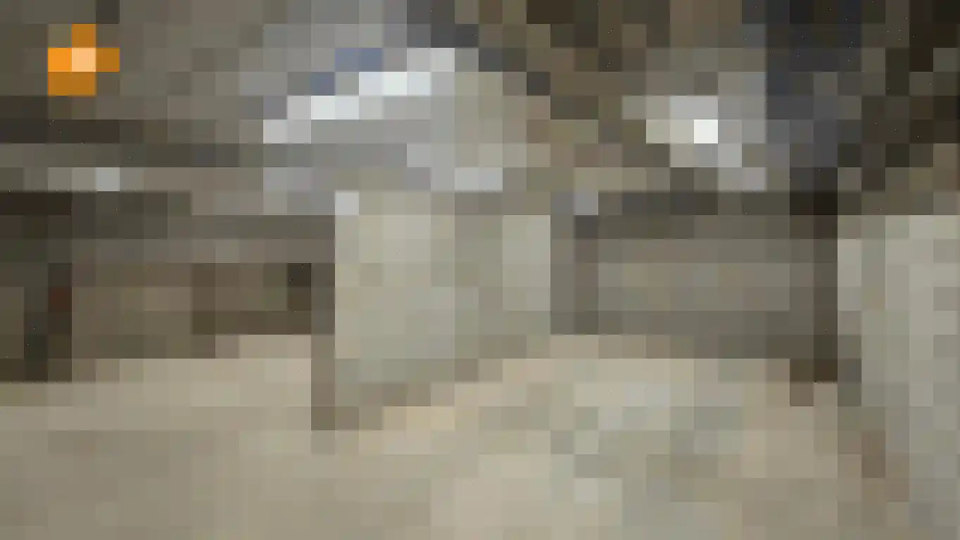Op de Weerdt 3630 Maasmechelen Elsloo thumbnail 10