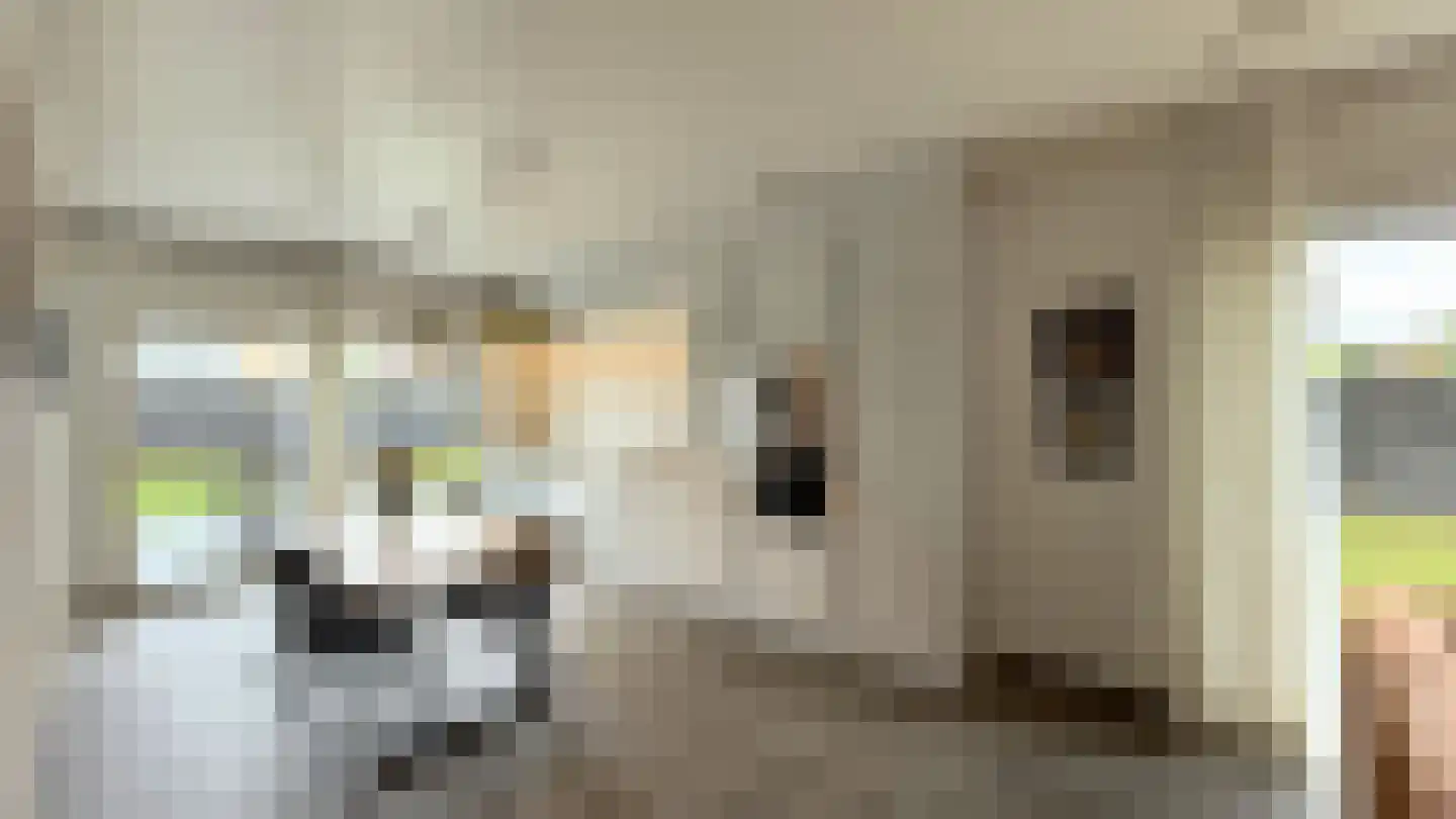 Op de Weerdt 3630 Maasmechelen Elsloo thumbnail 10