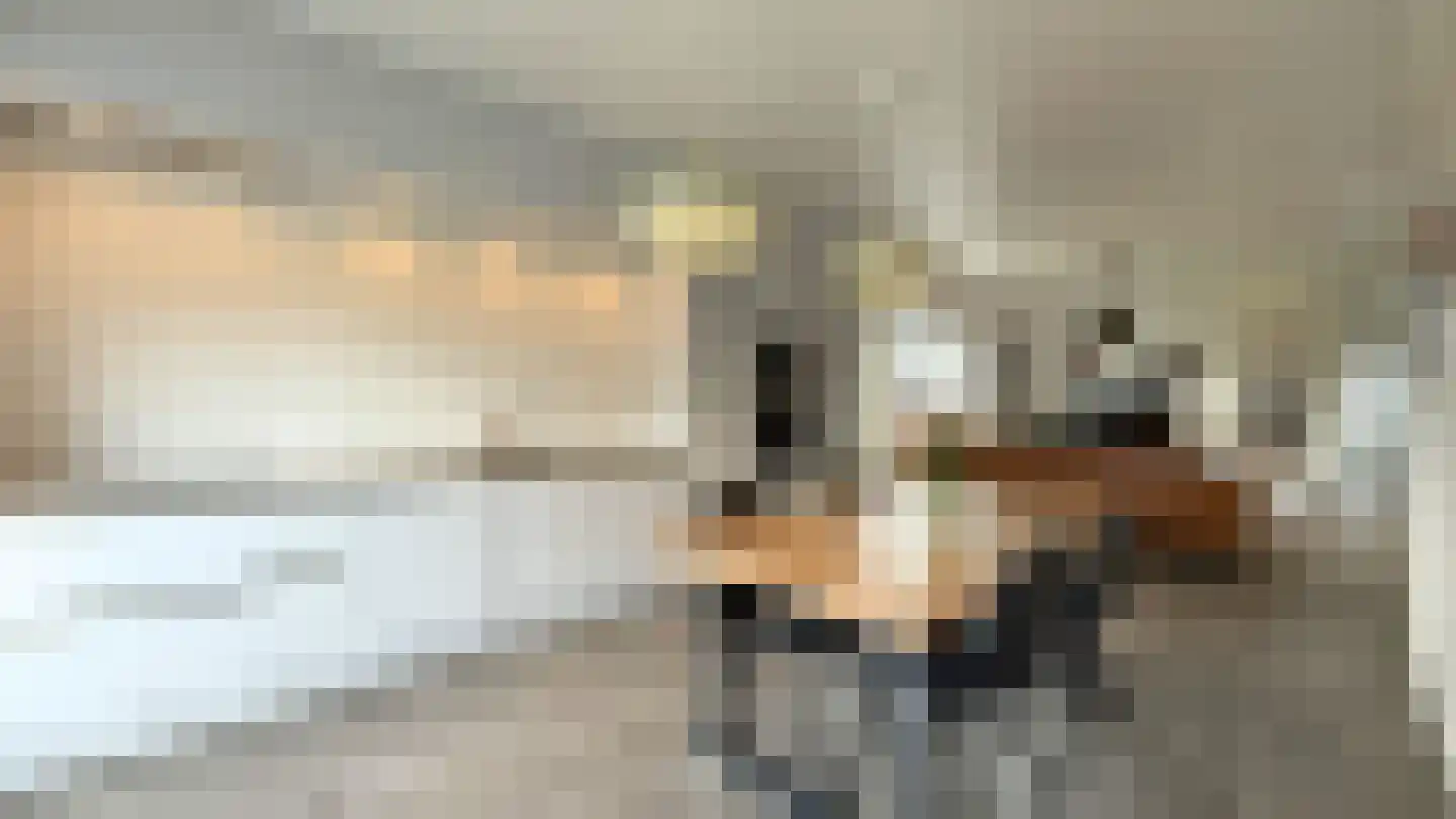 Op de Weerdt 3630 Maasmechelen Elsloo thumbnail 11