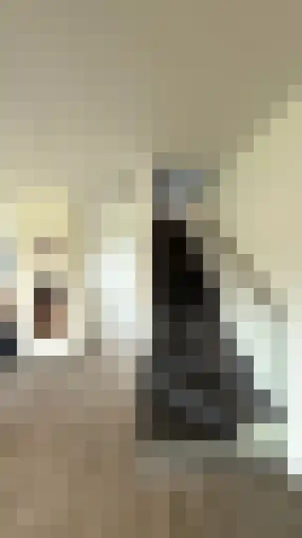 Op de Weerdt 3630 Maasmechelen Elsloo thumbnail 15