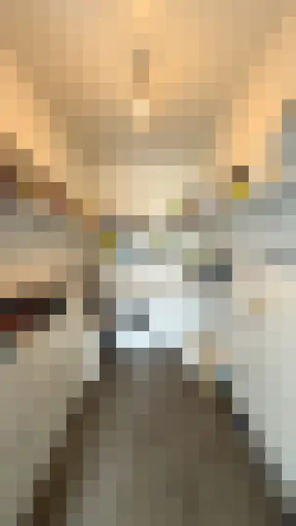 Op de Weerdt 3630 Maasmechelen Elsloo thumbnail 16