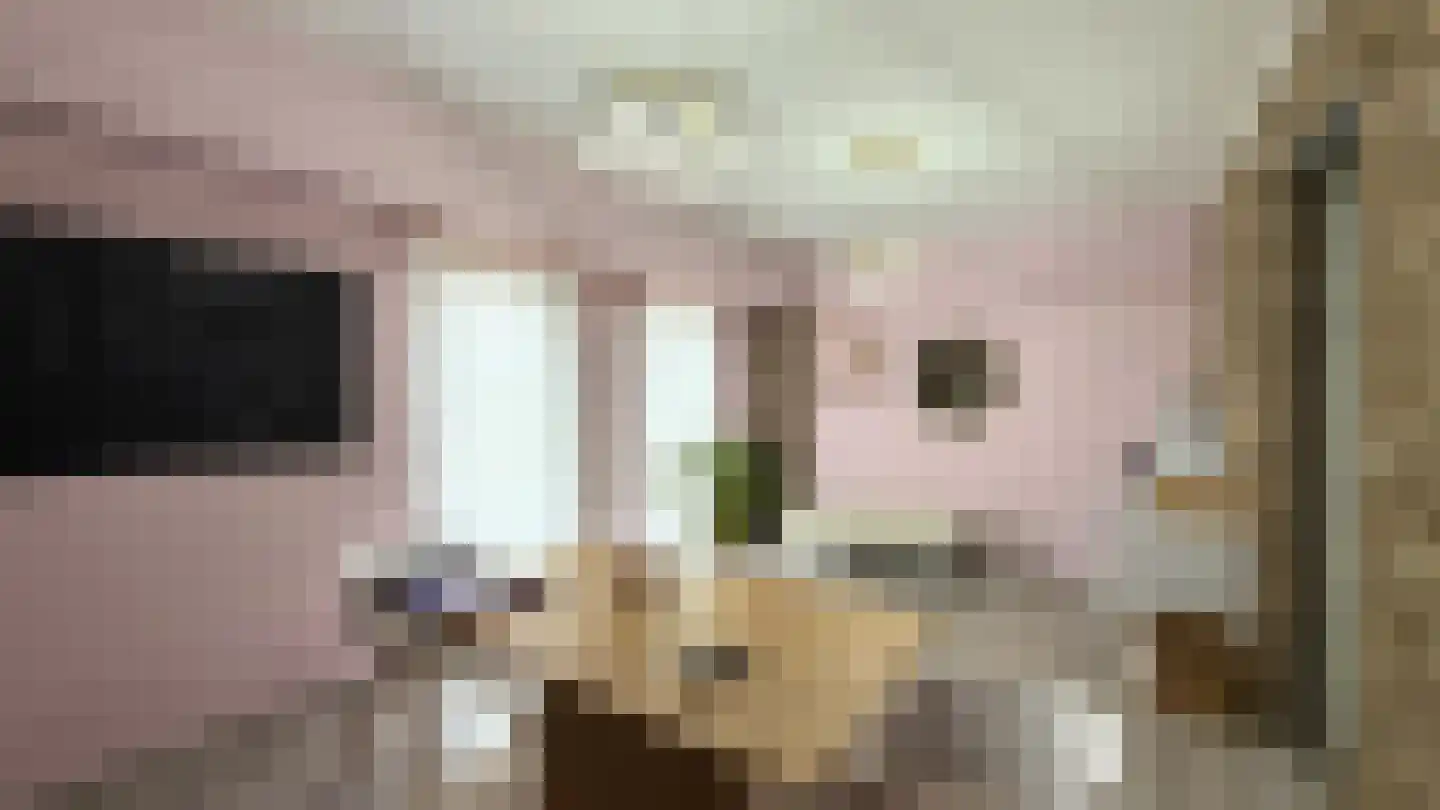 Op de Weerdt 3630 Maasmechelen Elsloo thumbnail 17