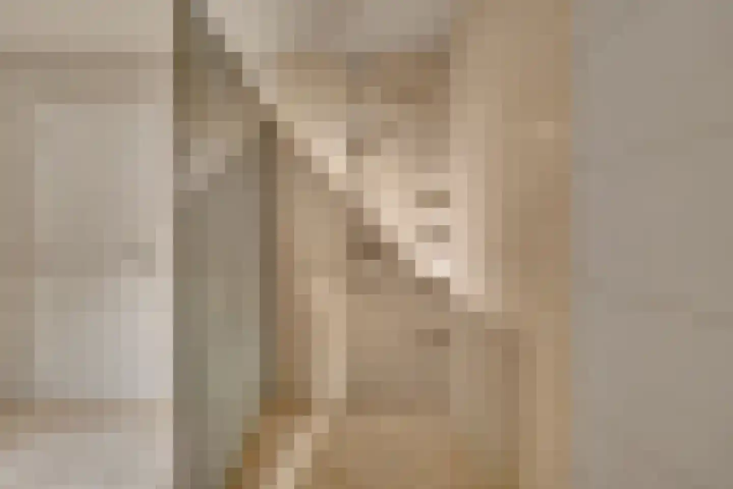 Op de Weerdt 3630 Maasmechelen Elsloo thumbnail 17