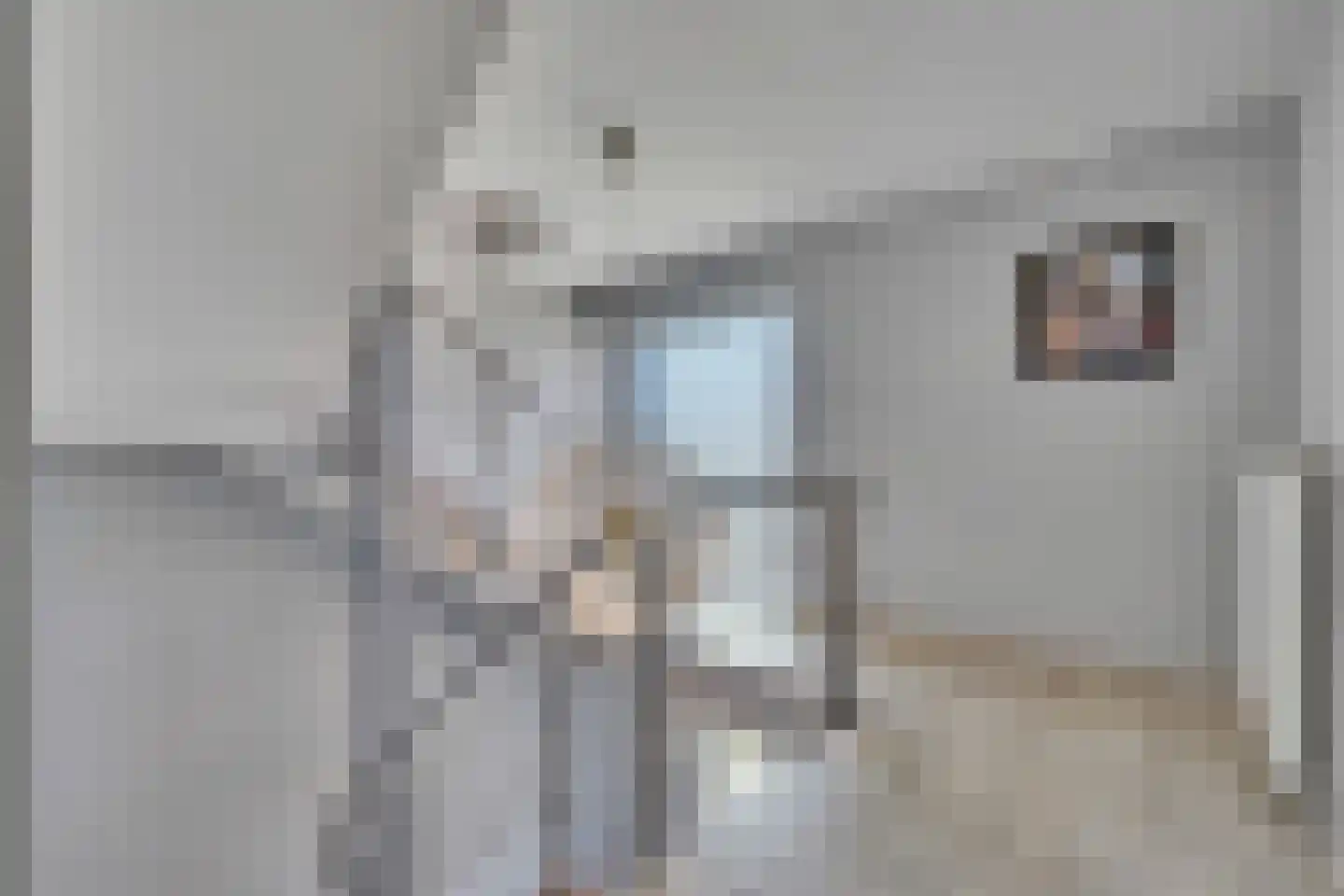 Op de Weerdt 3630 Maasmechelen Elsloo thumbnail 18